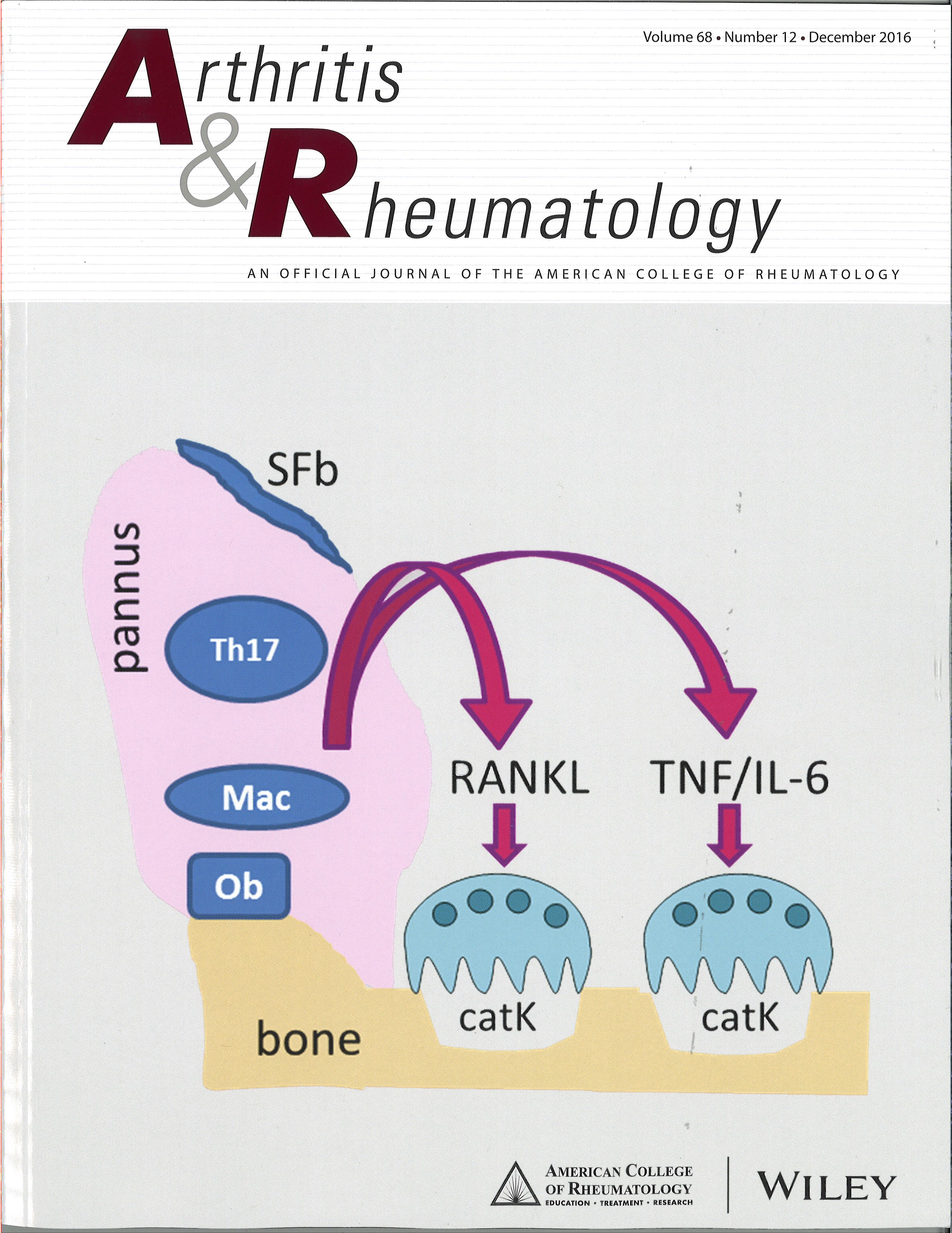 Arthritis & Rheumatology